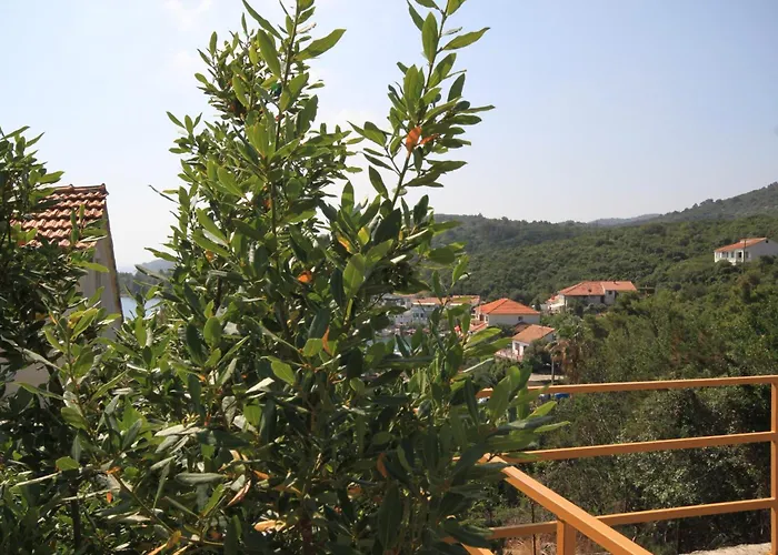 By The Sea Zaglav, Dugi Otok - 8134 アパート *