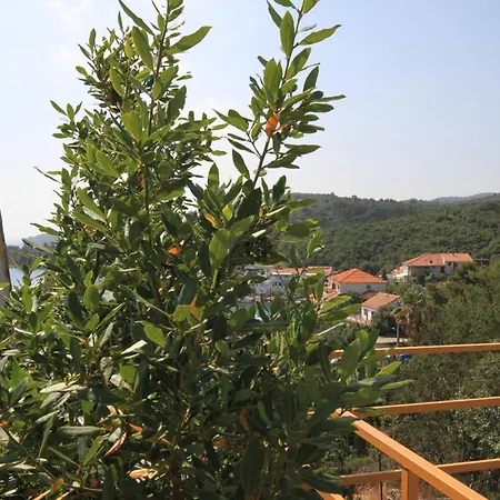 By The Sea Zaglav, Dugi Otok - 8134 Appartement *